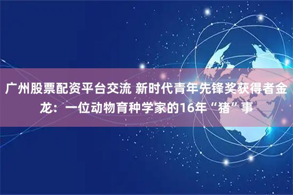 广州股票配资平台交流 新时代青年先锋奖获得者金龙：一位动物育种学家的16年“猪”事