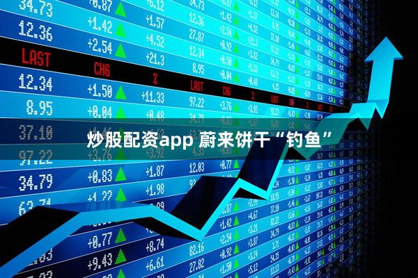 炒股配资app 蔚来饼干“钓鱼”